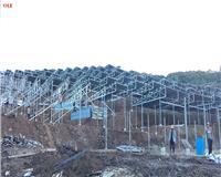 DỰ ÁN CUNG CẤP MÁY BIẾN ÁP NĂNG LƯỢNG MẶT TRỜI KẾT HỢP MÔ HÌNH TRỒNG NẤM TẠI LÂM ĐỒNG